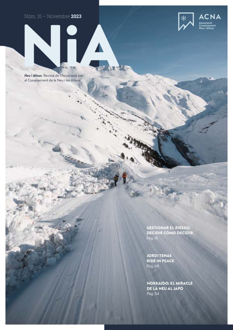 Revista NIA 2024